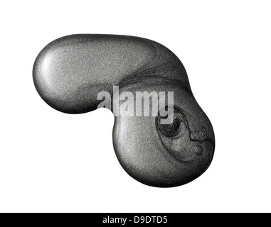 Black Nail Polish blob ritagliato su uno sfondo bianco Foto Stock