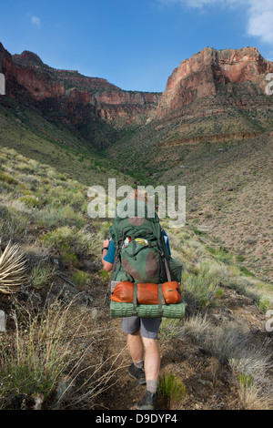 L'uomo escursionismo, New Hance, Grandview escursione, Grand Canyon, Arizona, Stati Uniti d'America Foto Stock