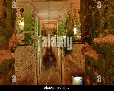 Columbarium e grotta, Bet Guvrin-Maresha National Park, Bet Guvrin vicino a Beer Sheva, Israele Foto Stock