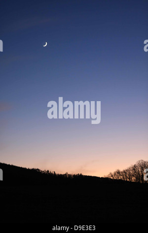 Verticale, blu viola tramonto con la falce di luna sulla montagna e alberi Foto Stock