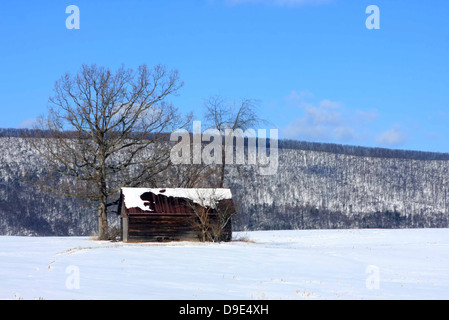 Il legno vecchio fienile alberi inverno Neve Montagna Collina Foto Stock