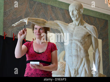 Il restauratore Maria Randhage opere su 'Muscle Man' statua da scultore francese Jean-Antoine Houdon (1741-1828) in primo piano presso il Museo del Palazzo a Schloss Friedenstein nel Gotha, Germania, 18 giugno 2013. Numerose sculture sono in corso di restauro presso il museo che ospita una collezione eccezionale di 22 di Houdon opere del. Foto: MARTIN SCHUTT Foto Stock