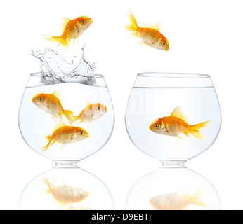 Acquario con oro piccoli pesci su sfondo bianco Foto Stock