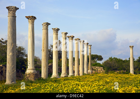 Le rovine di un sito storico di Salamina a Cipro del Nord. Foto Stock