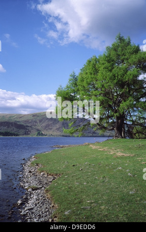 St Mary's Loch, Superiore Yarrow Valley, frontiere, Scozia Foto Stock