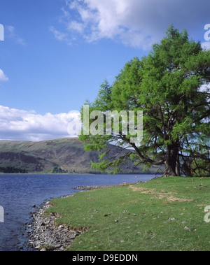 St Mary's Loch, Superiore Yarrow Valley, frontiere, Scozia Foto Stock