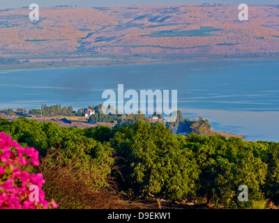 Vista del Mare di ​Galilee verso Capernaum, della Galilea, Israele Foto Stock