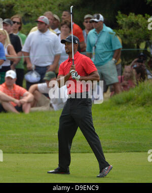 Giugno 16, 2013 - Merion, PA, Stati Uniti - Tiger Woods, DEGLI STATI UNITI D'AMERICA, sembra dopo una rotazione sulla xvi fairway durante il round finale a 113U.S. Campionato Nazionale Open al Merion Golf Club di Ardmore, Pa. Foto Stock