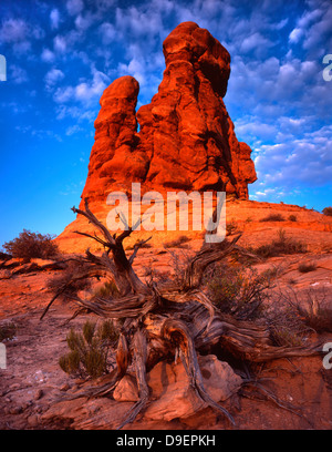 Alba sul telecomando butte vicino al giardino di Eden nel Parco Nazionale di Arches nei pressi di Moab, Utah Foto Stock