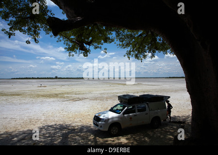 4x4 camper a Baines' baobab, Kudiakam Pan, Nxai Pan National Park, Botswana, Africa Foto Stock