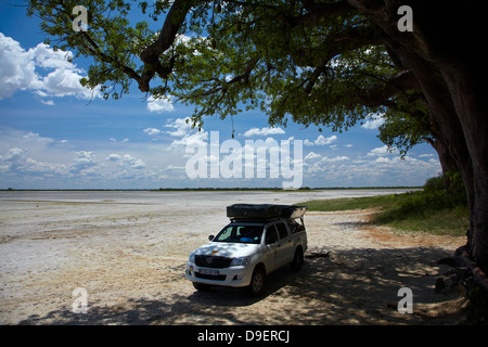 4x4 camper a Baines' baobab, Kudiakam Pan, Nxai Pan National Park, Botswana, Africa Foto Stock