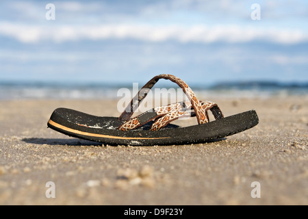 Un bagno alluvionali sandalo su una spiaggia sul Mar Baltico, in depositi alluvionali la balneazione in una spiaggia sul Mar Baltico Foto Stock