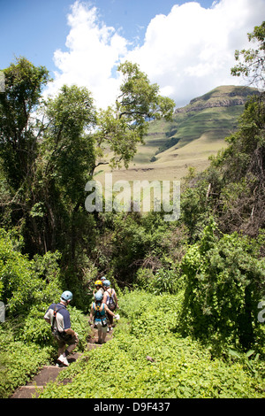 Cathkin Valle Central Drakensberg KwaZulu-Natal Sud Africa: entrando in Valle Drakensberg Canopy Tours che ha aperto a Cathkin Foto Stock