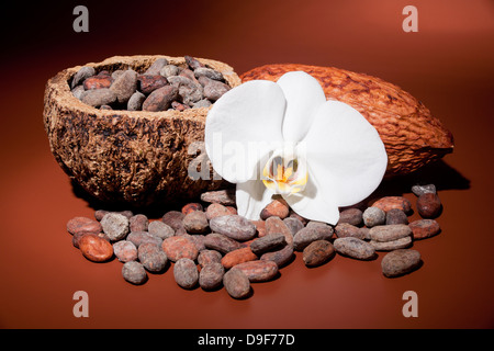 Chicchi di cacao cacao con frutta e un orchidea, le fave di cacao e il cacao e la frutta in orchid Foto Stock