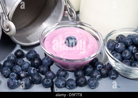 Vaso di vetro con yogurt e blueberrys, ciotola di vetro con yogurt e mirtilli Foto Stock