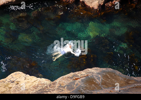L'uomo nuotare nel mare tra la terraferma scozzese e il vecchio uomo di mare Stoer pila prima di salire Foto Stock