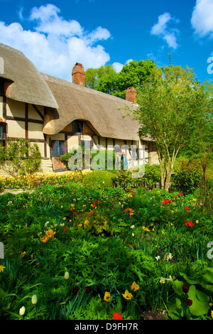 Anne Hathaway's Cottage, Shottery, Stratford upon Avon, Warwickshire, Inghilterra, Regno Unito Foto Stock