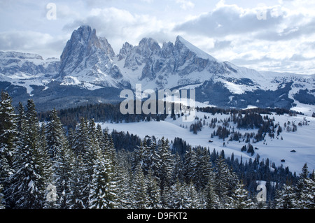 Una vista nevoso del Sassolungo e Sassopiato montagne dietro l' Alpe di Siusi area sci nelle Dolomiti, Alto Adige, Italia Foto Stock