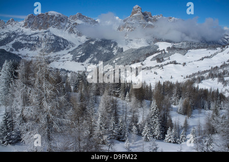 Una vista sulla neve coperto da alberi di pino di montagna Sassongher da Alta Badia ski resort nelle Dolomiti, Alto Adige, Italia Foto Stock