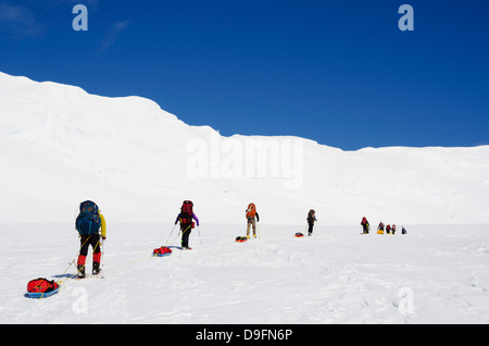 Escursione di alpinismo sul Monte McKinley, 6194m, Parco Nazionale di Denali, Alaska, STATI UNITI D'AMERICA Foto Stock