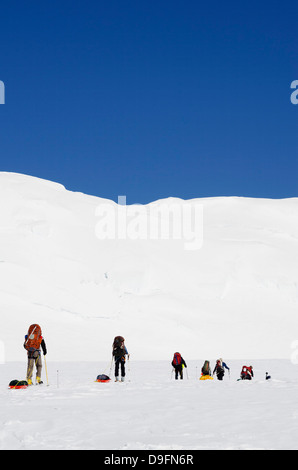 Escursione di alpinismo sul Monte McKinley, 6194m, Parco Nazionale di Denali, Alaska, STATI UNITI D'AMERICA Foto Stock