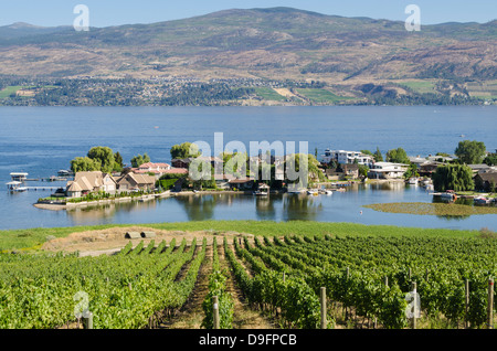 I vitigni e Lago Okanagan a quaglie cantina di gate, Kelowna, British Columbia, Canada Foto Stock