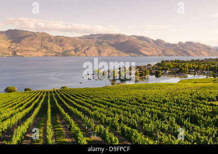 I vitigni e Lago Okanagan a quaglie cantina di gate, Kelowna, British Columbia, Canada Foto Stock