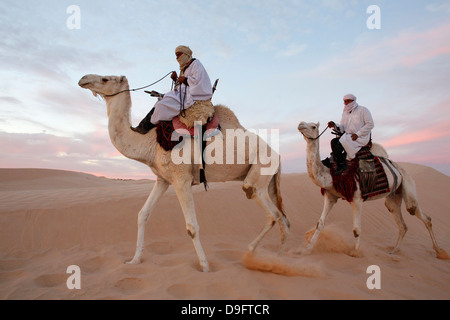 Dromedario piloti nel Sahara Douz, Kebili, Tunisia, Africa Foto Stock