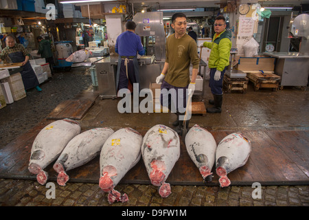 Tonno congelato nel mercato del pesce Tsukiji, Tokyo, Giappone Foto Stock