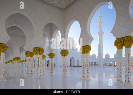 Sheikh Zayed Bin Sultan Al Nahyan moschea, Abu Dhabi, Emirati Arabi Uniti, Medio Oriente Foto Stock