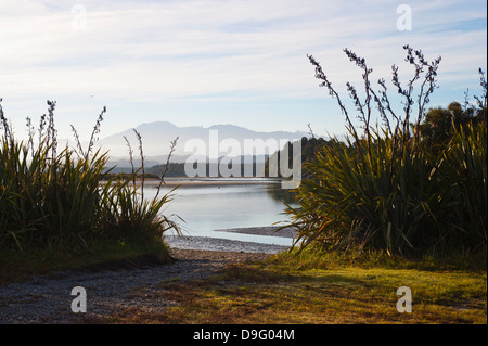 Okarito Laguna a sunrise, nella costa occidentale dell'Isola del Sud, Nuova Zelanda Foto Stock