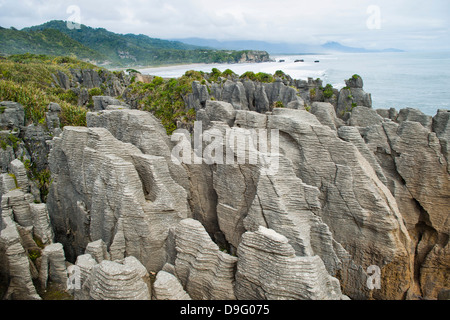 Pancake Rocks, Punakaiki, nella costa occidentale dell'Isola del Sud, Nuova Zelanda Foto Stock