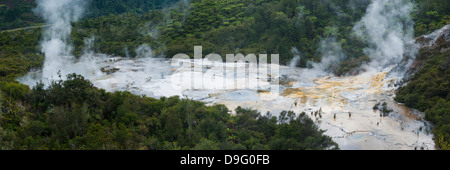 Cottura a vapore area geotermica di Orakei Korako parco termale, la valle nascosta, Isola del nord, Nuova Zelanda Foto Stock