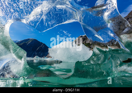 Il ghiaccio del ghiacciaio partorito dal ghiacciaio Sawyer, Williams Cove, Tracy Arm-Ford terrore della Wilderness Area, a sud-est di Alaska, STATI UNITI D'AMERICA Foto Stock