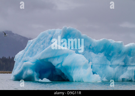 Il ghiaccio del ghiacciaio partorito dal ghiacciaio LeConte, al di fuori di San Pietroburgo, a sud-est di Alaska, STATI UNITI D'AMERICA Foto Stock