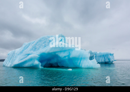 Il ghiaccio del ghiacciaio partorito dal ghiacciaio LeConte, al di fuori di San Pietroburgo, a sud-est di Alaska, STATI UNITI D'AMERICA Foto Stock