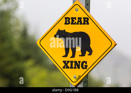 Cartello stradale per bear crossing in Juneau, a sud-est di Alaska, STATI UNITI D'AMERICA Foto Stock