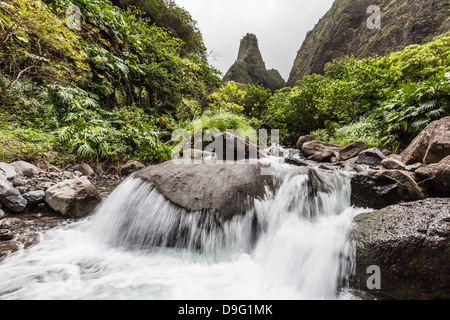 Cascata in Iao Valley State Park, Maui, Hawaii, Stati Uniti d'America Foto Stock