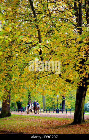 I cavalli in un autunnale di Hyde Park, London, England, Regno Unito Foto Stock