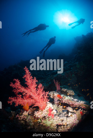 Silhouette di tre subacquei al di sopra di Coral Reef, Il Parco Nazionale di Ras Mohammed, Mar Rosso, Egitto, Africa Foto Stock