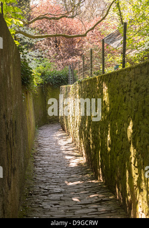 Ripida Passeggiata dei Filosofi stretto sentiero acciottolato sopra dalla città vecchia di Heidelberg Germania Foto Stock