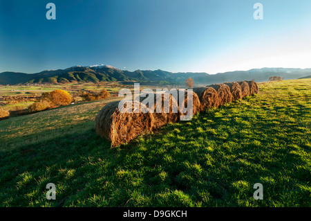 - Rurale scena della montagna, fieno balle rotonde, tramonto a Cerdanya, Pirenei orientali, Baixa Cerdanya (inferiore Cerdanya), Catalogna, Spagna Foto Stock