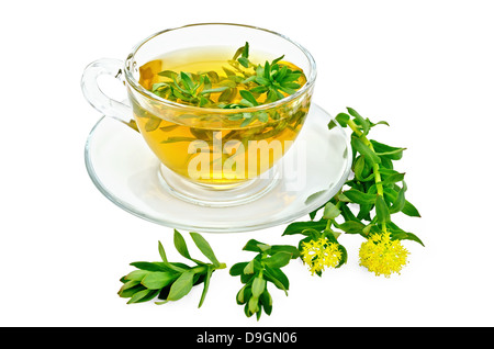 La guarigione di tisana in tazza di vetro con fiori la Rhodiola rosea è isolato su sfondo bianco Foto Stock