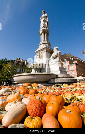 Statua des Walther von der Vogelweide a Bolzano über einem Teppich von Kürbissen Foto Stock