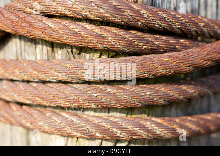 Vecchio arrugginito cavo avvolto intorno a un palo di legno. Foto Stock