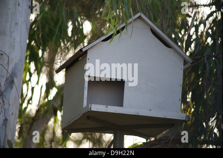 Abitudine luogo o nido di uccelli, bird house, Foto Stock