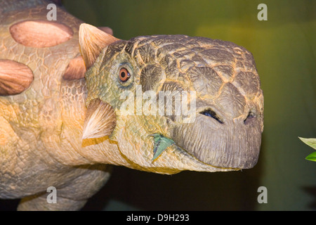 L'Europa, Italia, Lombardia, Cremona, mostra di dinosauri euoplocephalus Foto Stock