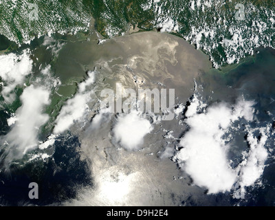 Marea nera nel Golfo del Messico. Foto Stock