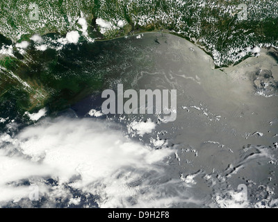 Marea nera nel Golfo del Messico. Foto Stock