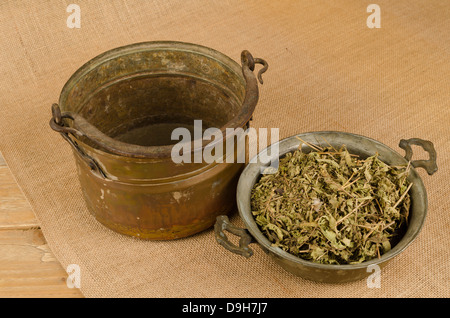 Essiccata la verbena del limone foglie in alcuni vasi vintage Foto Stock